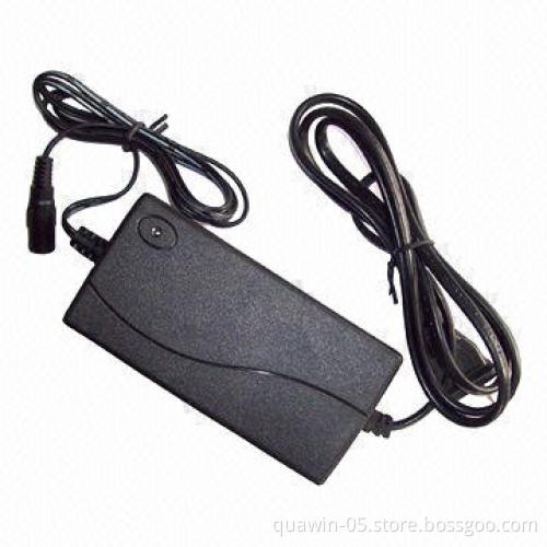 Smart Charger for 9.6 to 32V LiFe PO4 Battery Pack